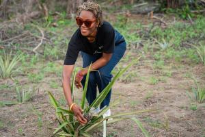 Didi Farmer on Polo Farm in Liberia