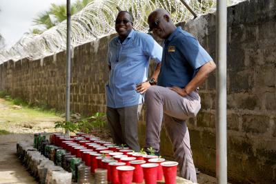 In Liberia, Dr. Sterman Toussaint (left) shows crops to Dr. Wesler Lambert, Zanmi Lastane's executive director