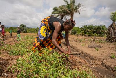 A community member at work on Polo's Farm.