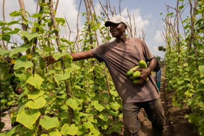 A community member at work on Polo's Farm. Picture by Luther N. Mafalleh / PIH